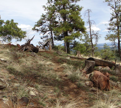 Summit Mountain Trail