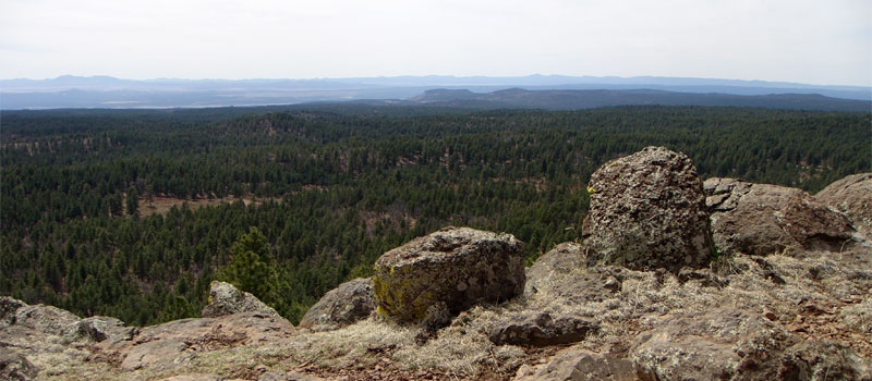 Summit Mountain Trail