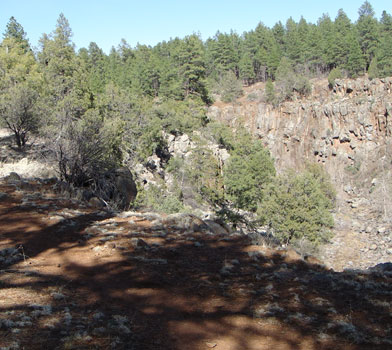 Sycamore Rim Trail