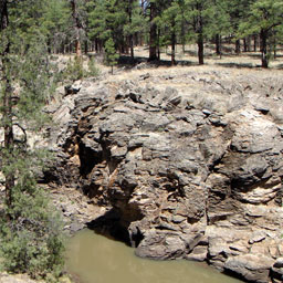 Sycamore Rim Trail