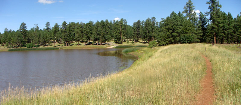 Whitehorse Lake Trail