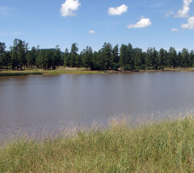 Whitehorse Lake