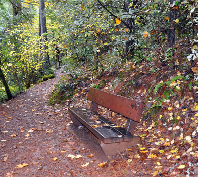 Limpy Botanical Loop Trail
