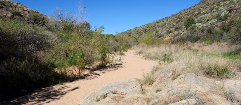 Badger Springs Trail