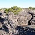 Lava Falls Trail