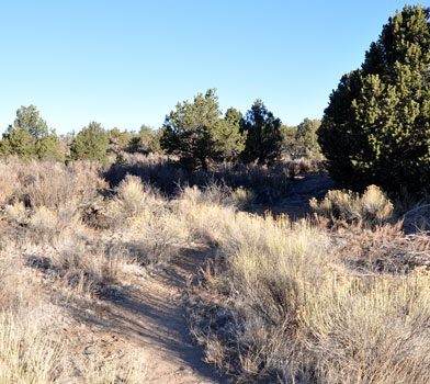 Lava Falls Trail