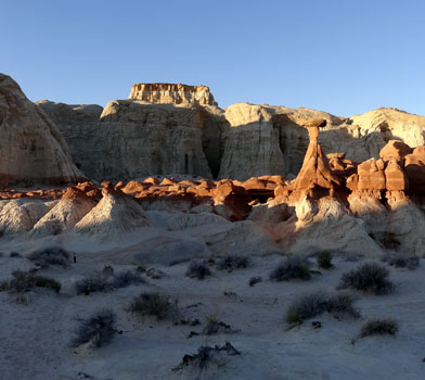 Grand Staircase Toadstools