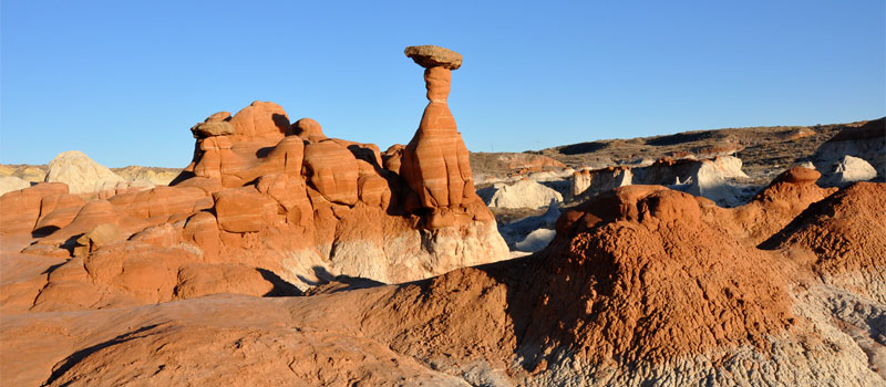 Toadstools Trail