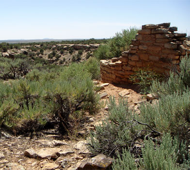 Horseshoe Hackberry Ruins