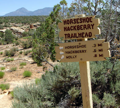Horseshoe Hackberry Trailhead