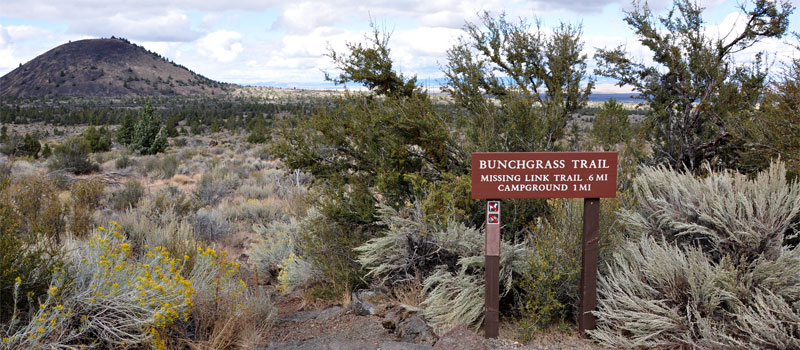 Bunchgrass Trail