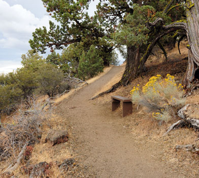 Schonchin Butte Trail