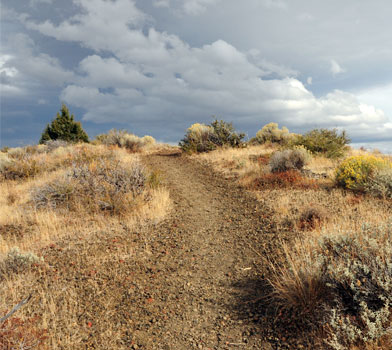 Schonchin Butte Trail