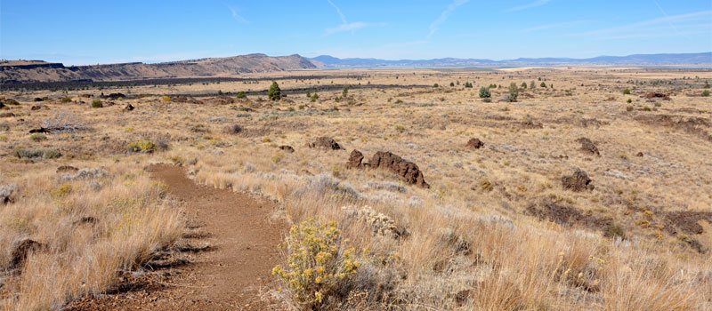 Thomas-Wright Battlefield Trail