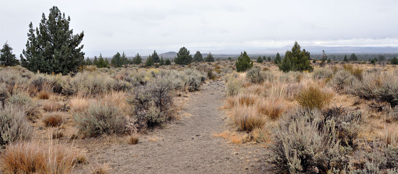 Three Sisters Trail