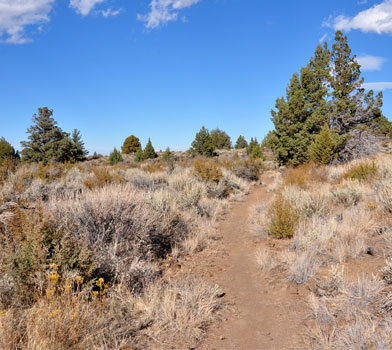 Whitney Butte Trail