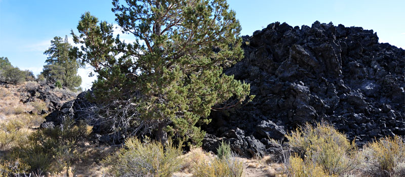 Whitney Butte Trail