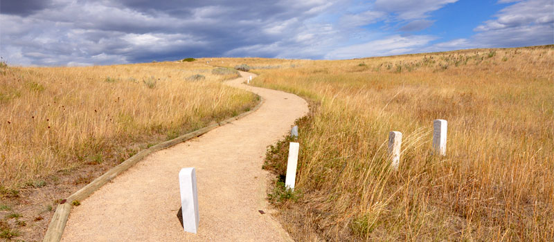 Deep Ravine Trail