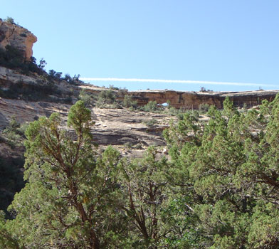 Loop Trail