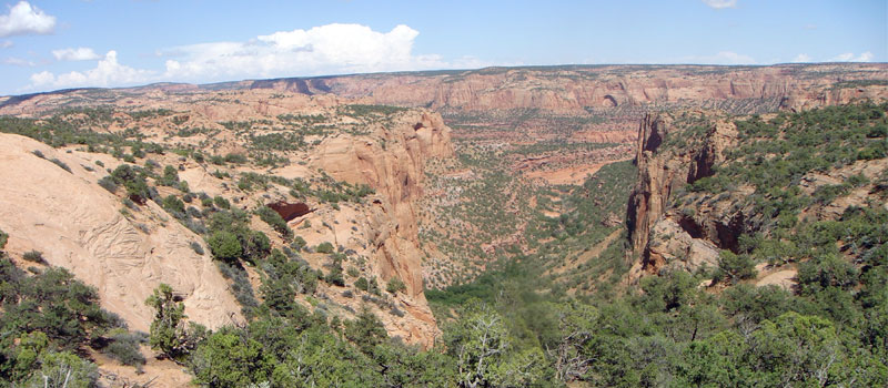 Canyon View Trail
