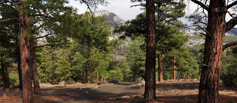 Lenox Crater Trail