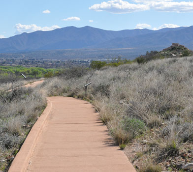 Tavasci Marsh Trail