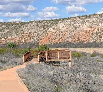 Tavasci Marsh Trail