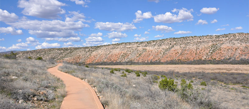 Tavasci Marsh Trail