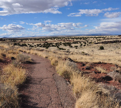 Citadel Trail