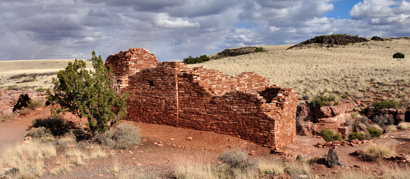 Lomaki Trail