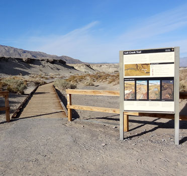 Salt Creek Trail, Death Valley