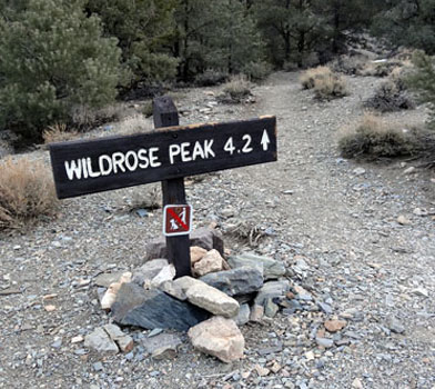 Wildrose Peak Trailhead, Death Valley