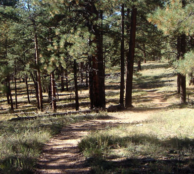 Hiking the Cape Final Trail