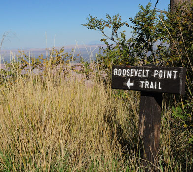 Roosevelt Point Sign Post