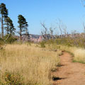 Roosevelt Point Trail