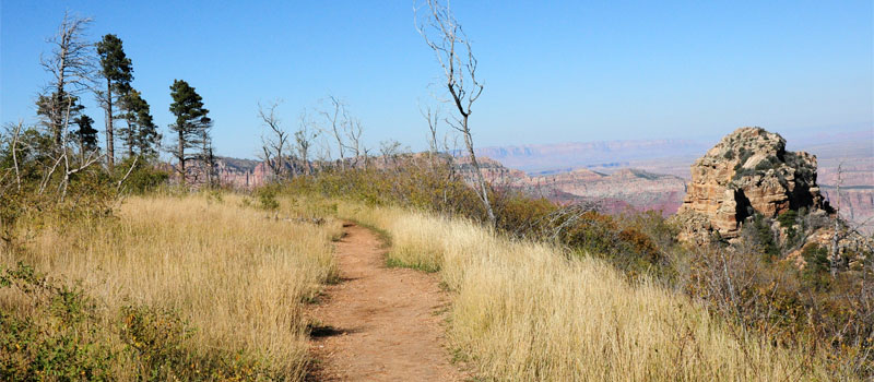 Roosevelt Point Trail