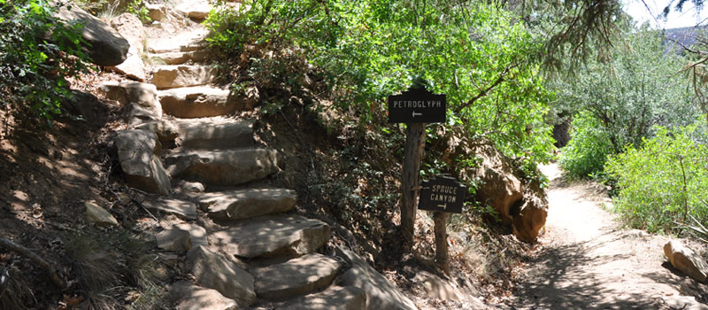 Spruce Canyon Trail