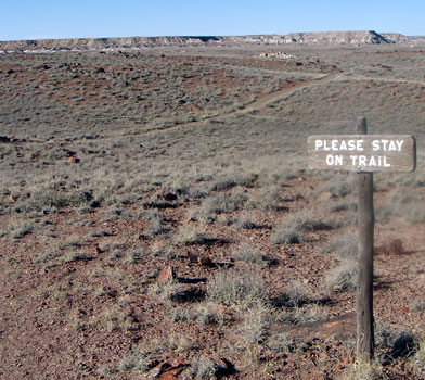 Agate House Trail, Petrified Forest