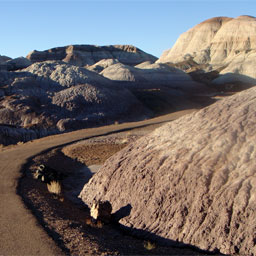 Blue Mesa Trail