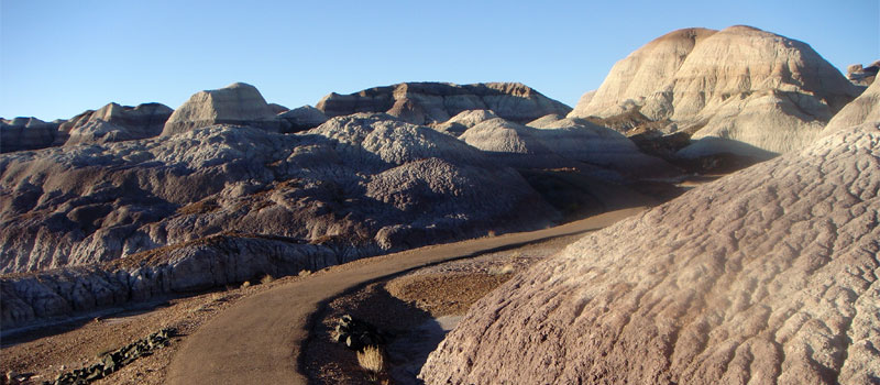 Blue Mesa Trail