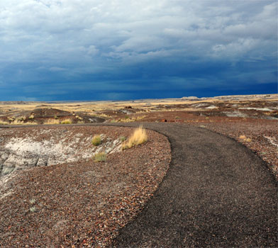 Crystal Forest Loop Trail, Petrified Forest