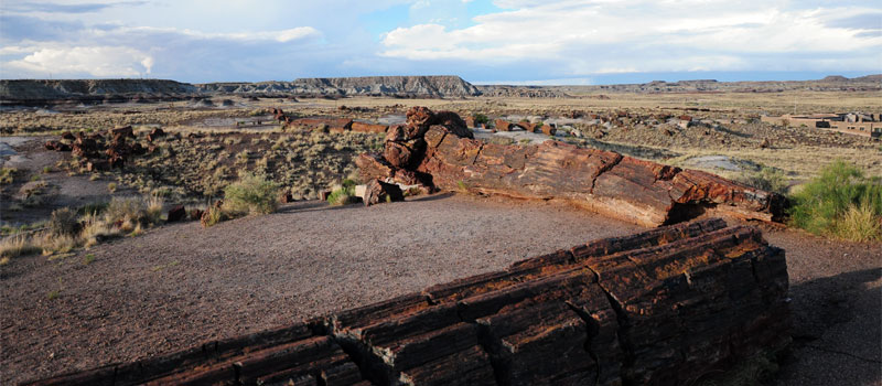 Giant Logs Trail