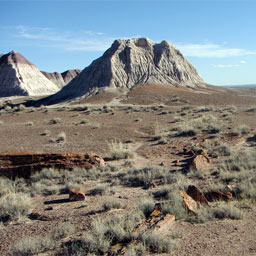 Long Logs Trail