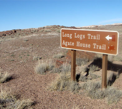 Long Logs Trail, Petrified Forest