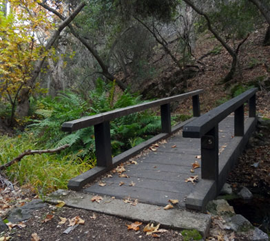 Bear Gulch Trail