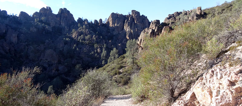 Condor Gulch Trail