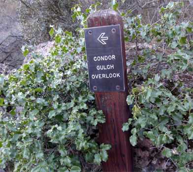 Condor Gulch Trail