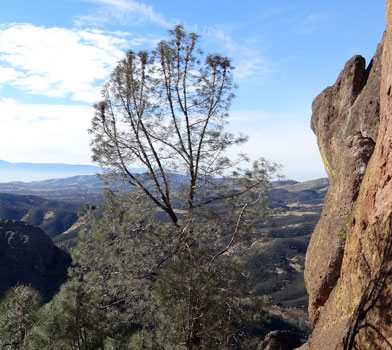 High Peaks Trail