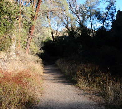 Old Pinnacles Trail