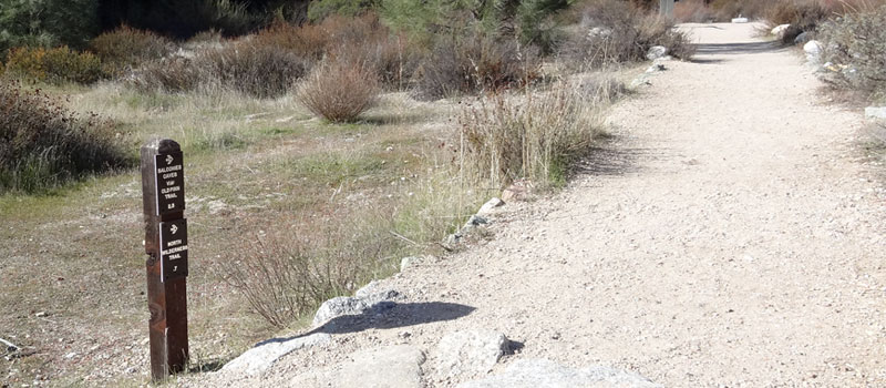 Old Pinnacles Trail